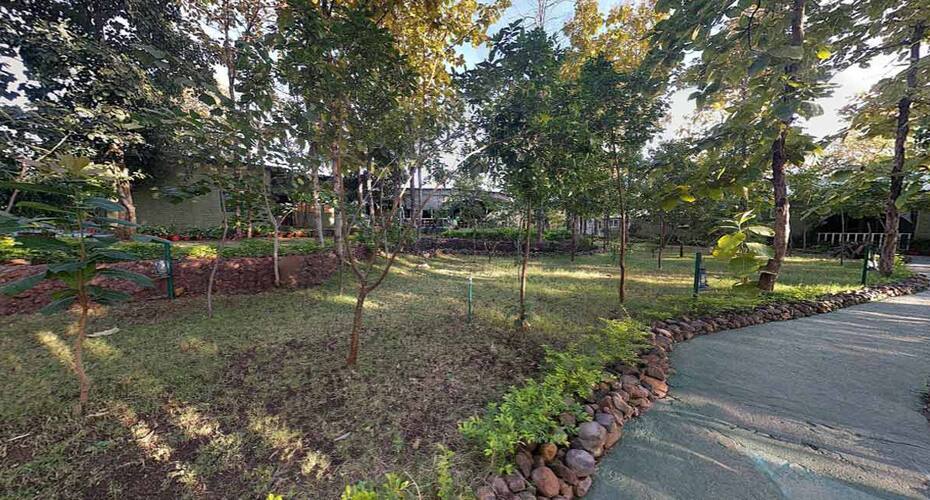 Ratapani Jungle Lodge, Sehore 1